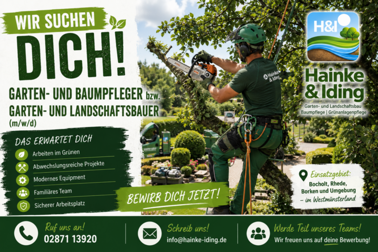 Wir suchen Dich